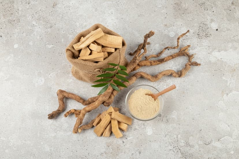 Tongkat Ali root extract natural testosterone booster